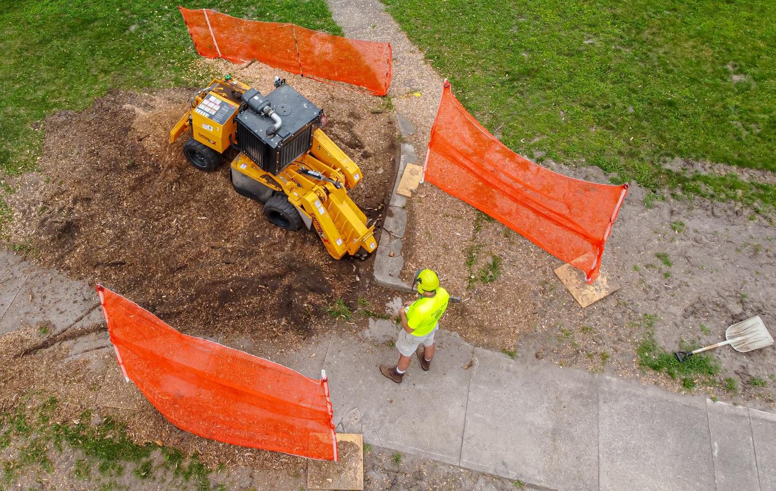 Storm-Damaged Tree Removal in Wausau