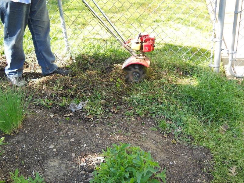 Stump Removal in Wausau